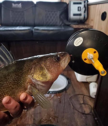 The Best Rattle Reel for Your Wheelhouse